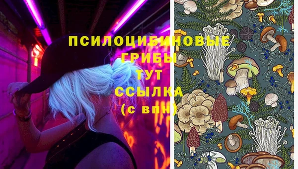 стафф Армянск