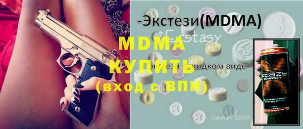 хмурый Пересвет