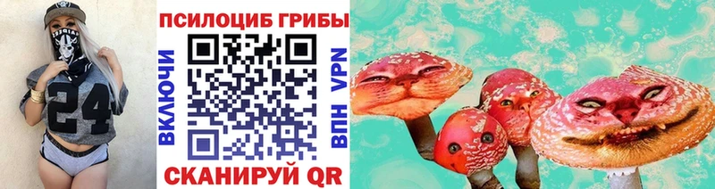 блэк спрут зеркало Сухой Лог Галлюциногенные грибы MAGIC MUSHROOMS где найти